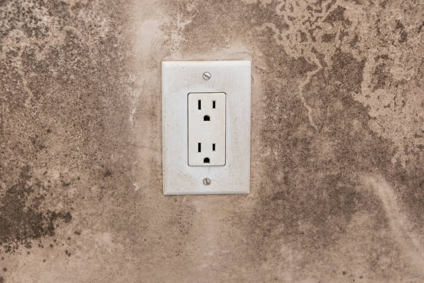 Best Industrial Mold Remediation  in Liberty Corner, NJ